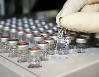 Erber Group може почати виробництво вакцин для тварин